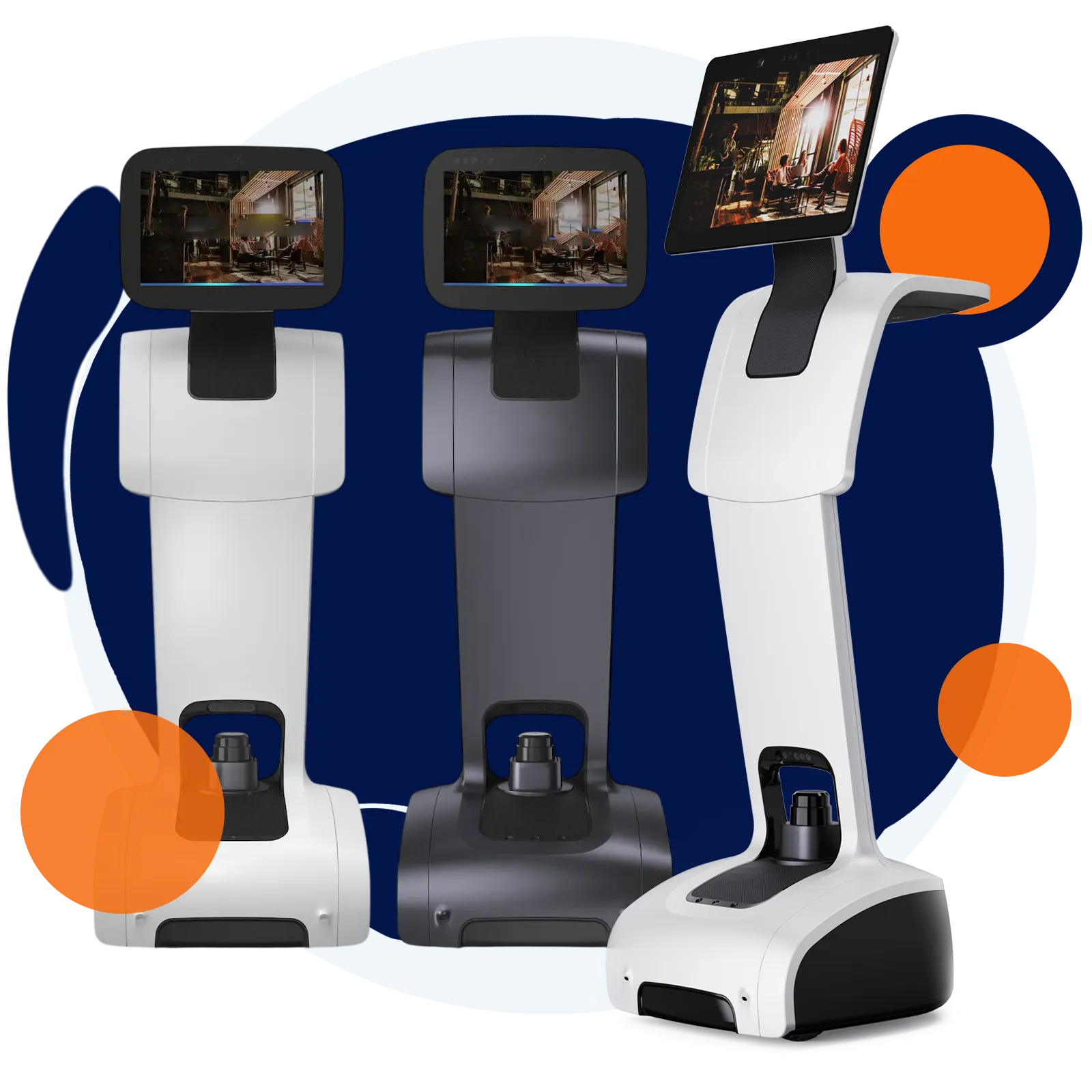 robot domi